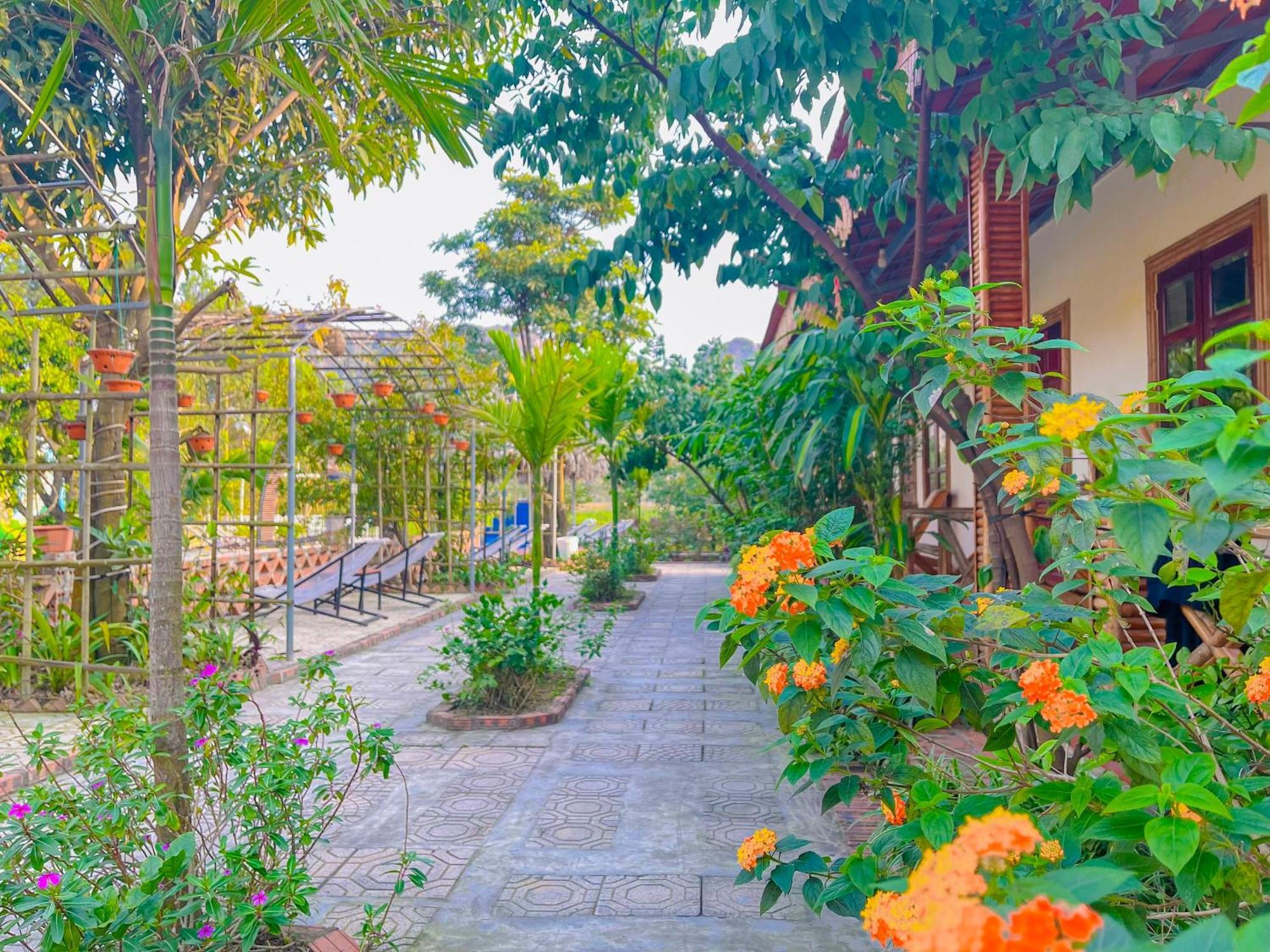 Quynh Trang Happy Homestay Ninh Binh Luaran gambar