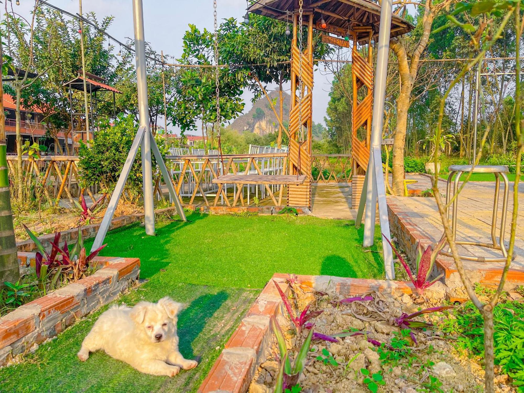 Quynh Trang Happy Homestay Ninh Binh Luaran gambar