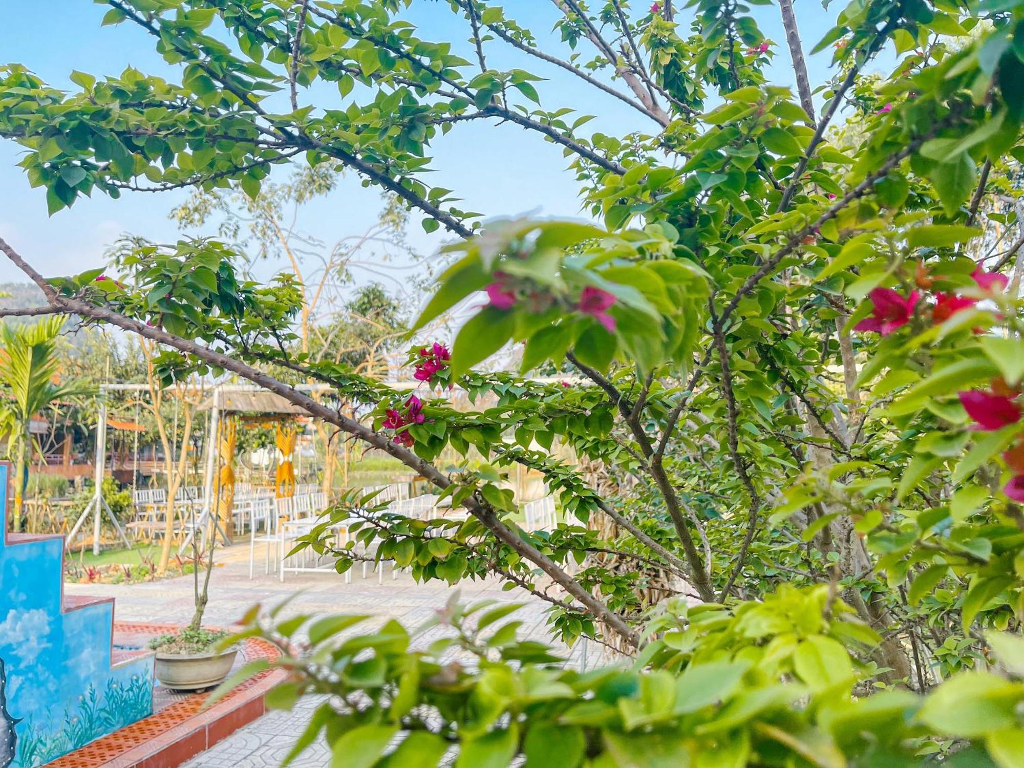 Quynh Trang Happy Homestay Ninh Binh Luaran gambar