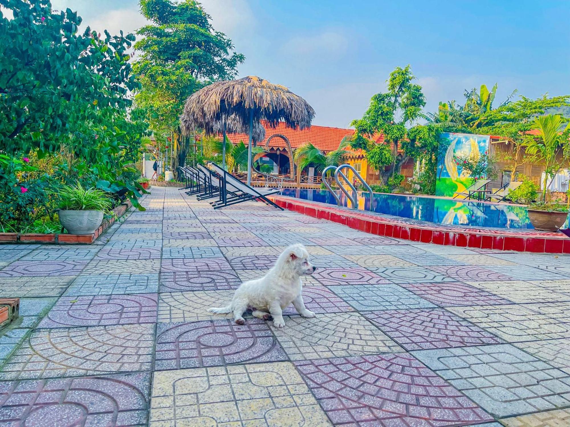 Quynh Trang Happy Homestay Ninh Binh Luaran gambar