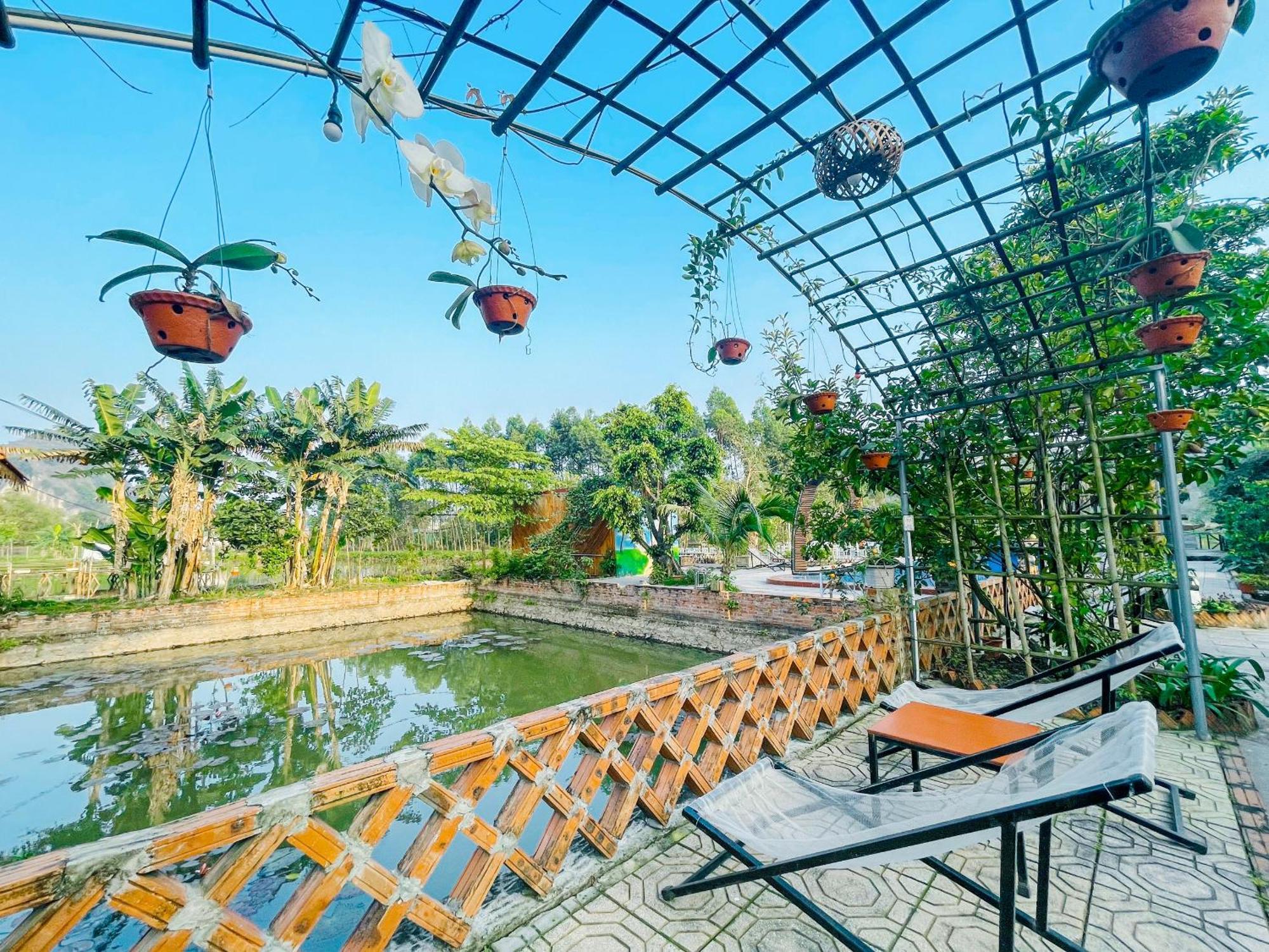 Quynh Trang Happy Homestay Ninh Binh Luaran gambar